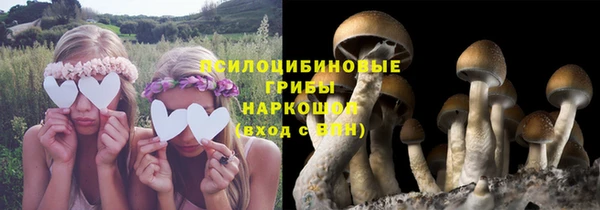 твердый Балабаново