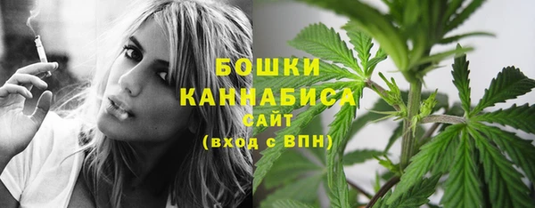 гидра Баксан