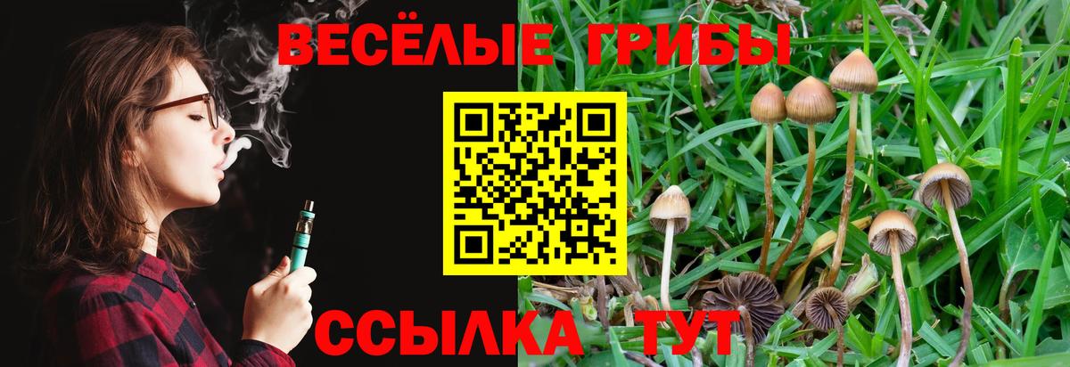 Псилоцибиновые грибы Cubensis  Псилоцибиновые грибы GOLDEN TEACHER  Спасск-Дальний  Вход с VPN 