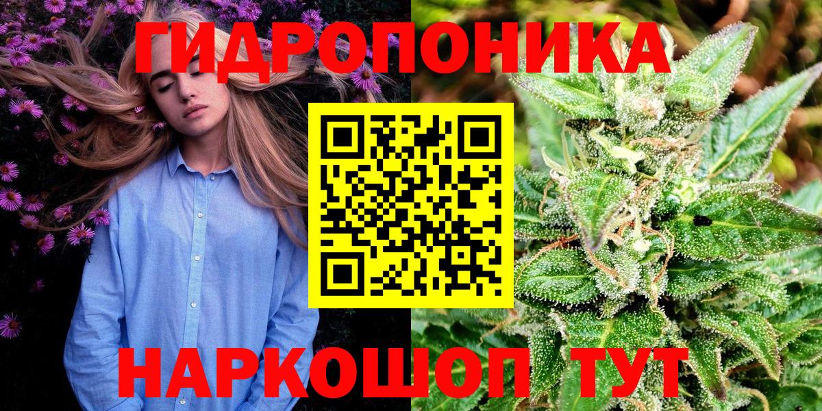 Бошки марихуана ГИДРОПОН  Каннабис план  Спасск-Дальний  МАРИХУАНА THC 21%  Вход с VPN 